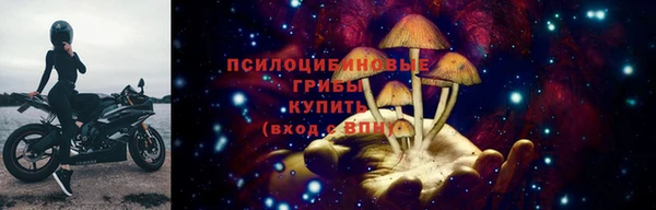 дмт Армянск